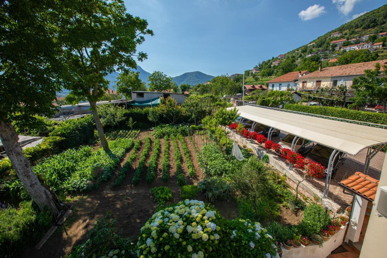 Nido Degli Dei Villa Agerola Luaran gambar